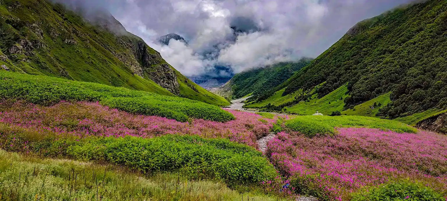 Valley of Flowers Trek   